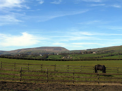 Looking left from the road towards Pendle