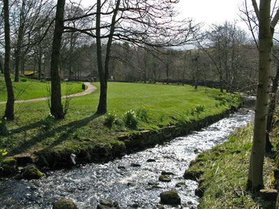 Picnic area