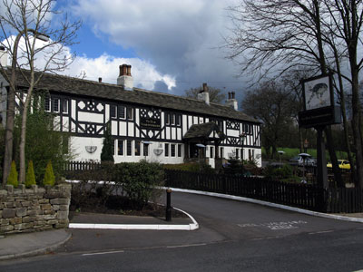 Ye Old Sparrowhawk