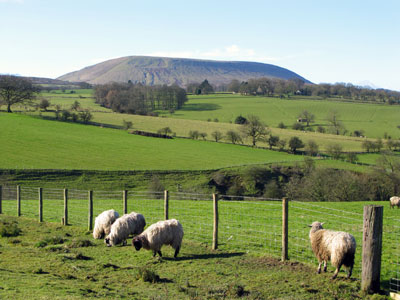Pendle from Howgill Lane