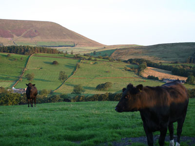 Pendle from Noggarth Road