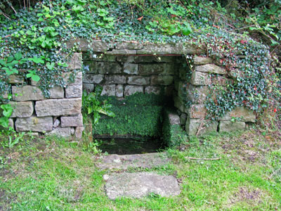 The Well