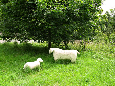 'Model' sheep on way in to Worston