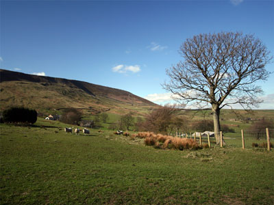 The view towards Pendle