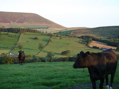 Pendle from Noggarth Road